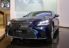 luoi-tan-nhiet-lexus-ls-500-2019-muaxegiatot-vn-5