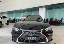 dau-xe-lexus-es-250-2020-muaxegiatot-vn