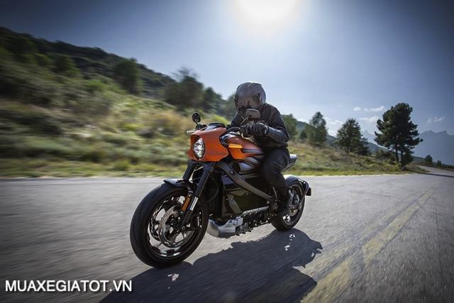 Harley-Davidson LiveWire -1
